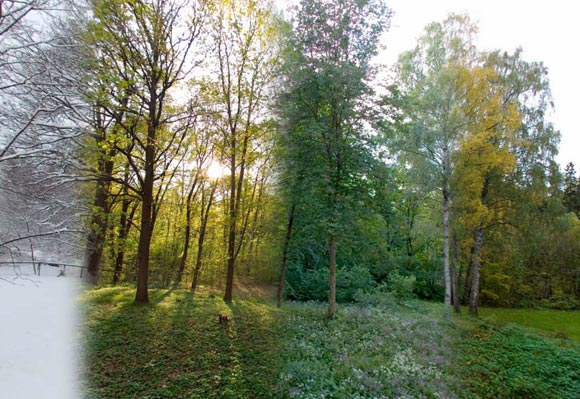 Photomontage of four photos of the same landscape, for each season