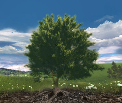 Interface image showing a tree in a field