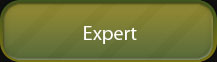 Expert