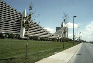 Tree with fewer leaves, some yellowed (observable sign) caused by atmospheric or urban pollution (de-icing salt, carbon dioxyde, dust, etc.) (stress factor)