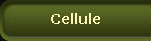 Cellule