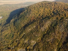 Photo aérienne d'érablière à caryer