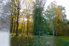 Photomontage of four photos of the same landscape, for each season