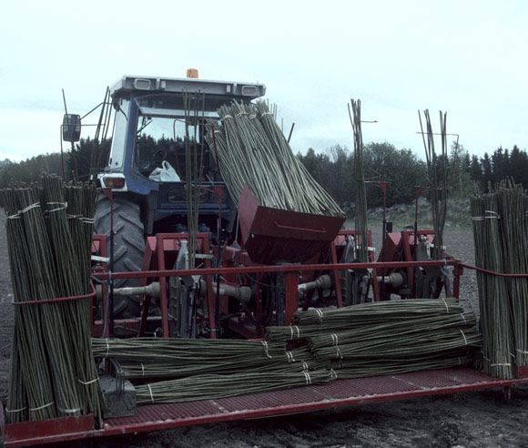 Photo d'une machinerie permettant la ligniculture