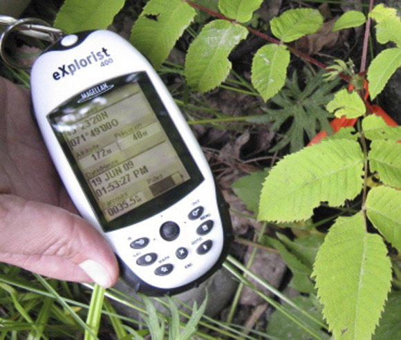 Photo of a GPS tool