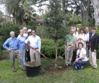 Photo of a tree planting at the Jardin botanique de Montréal