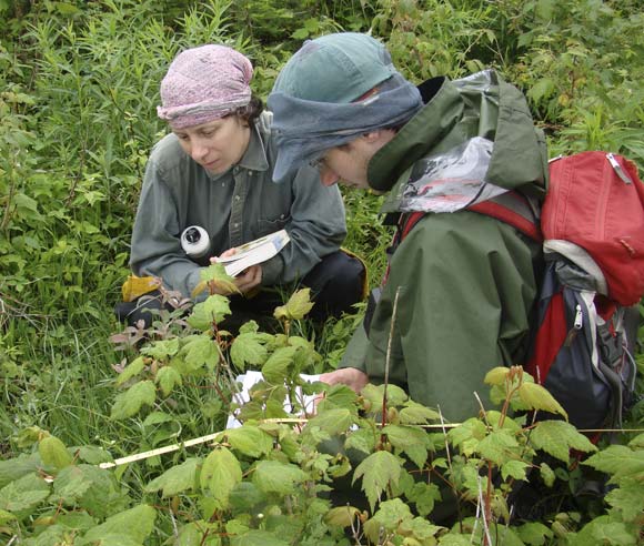 Photo d'Isabelle Aubin et d'un étudiant en train de regarder des plantes sur un sol forestier