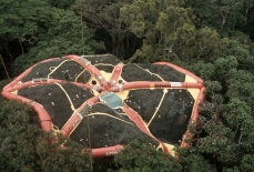 Photo du radeau des cimes, déposé sur la canopée de la forêt