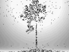 Graphic representation of carbon stocked in a tree
