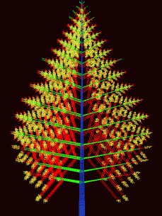 Graphic representation of the different physiological ages of a poplar