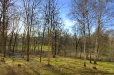 Photo d'un paysage boisé au printemps