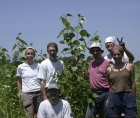 Photo of Alain Cogliastro and members of his IRBV team