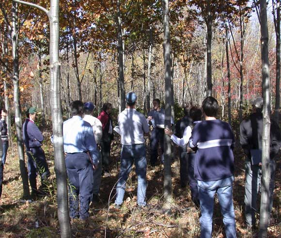 Photo of Alain Cogliastro in an oak plantation, with forest engineers and private forest owners.