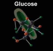 Dessin d'une molécule de glucose