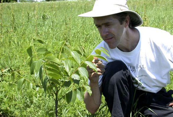 Agroforesterie